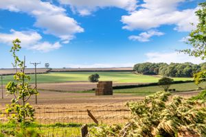 views- click for photo gallery